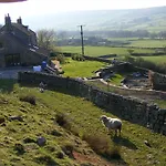 Bank House Farm