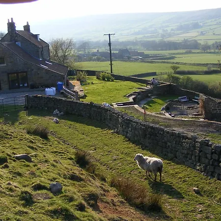Bank House Farm