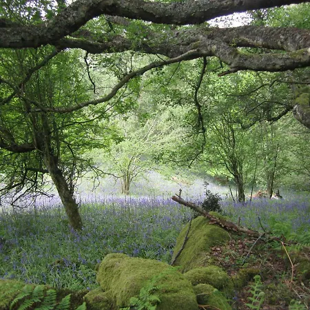 Bank House Farm Уитби