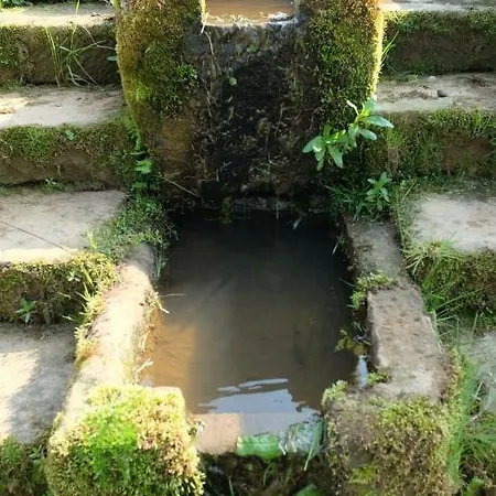 Bank House Farm Дом отдыха Уитби